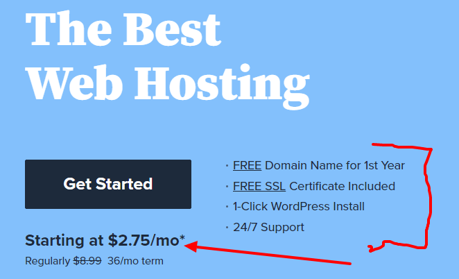 Web Hosting Beginners pricing